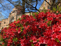 Immaculate-Heart-Seminary-Huntington-New-York-flowers